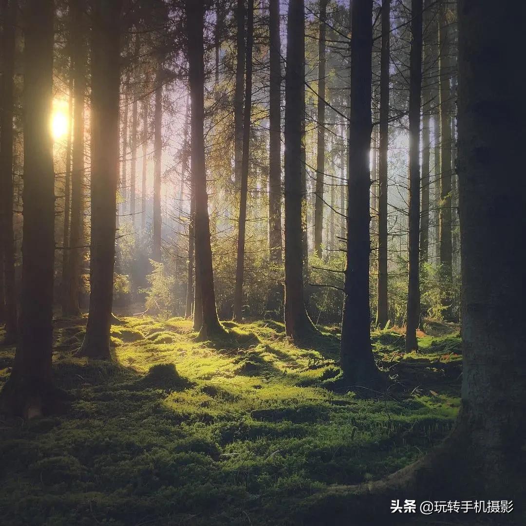 iphone自带软件5个实用功能,iphone手机方便快捷实用小技巧