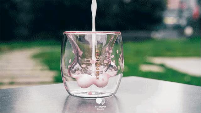 抢星巴克猫咪杯,为了猫爪杯打架