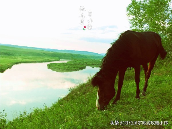 我和呼伦贝尔之间只隔一张火车票只需勇敢前行，梦想自会引路