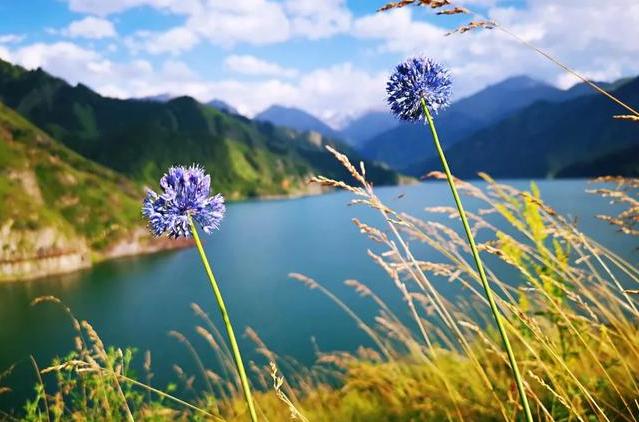 李小璐和贾乃亮的那七年,李小璐贾乃亮离婚真正原因