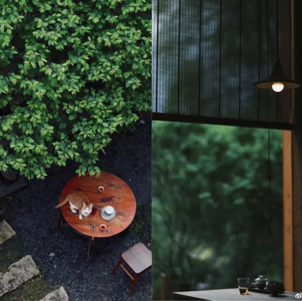 武夷山风景区民宿推荐价格表,武夷山山里民宿