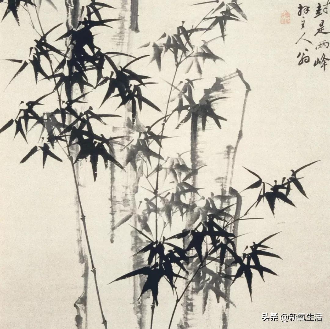 怪人郑板桥小说阅读,郑板桥卖书画