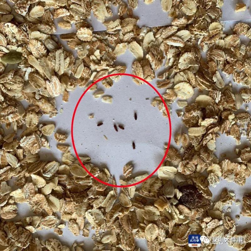 进口燕麦片长虫是什么原因,麦片有虫维权
