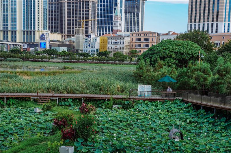 澳门最有名的景点大三巴,澳门必去景点之大三巴网红打卡地