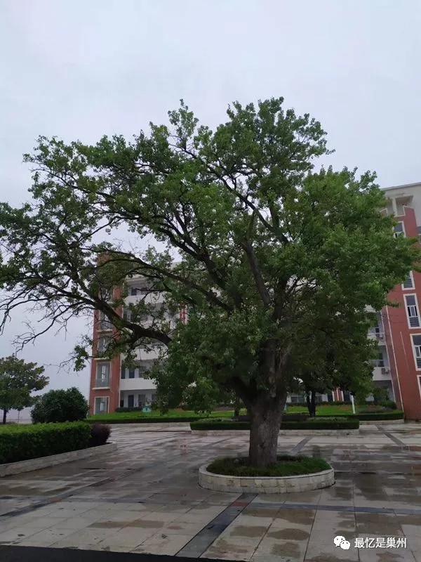 靳清华,靳清华最新视频