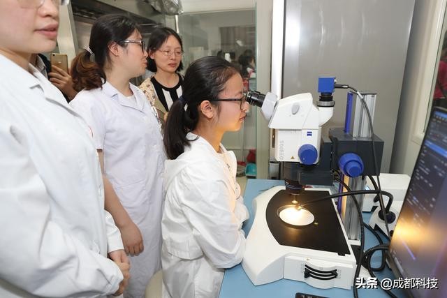 生命科学研究揭秘细胞的小秘密,探索细胞奥秘