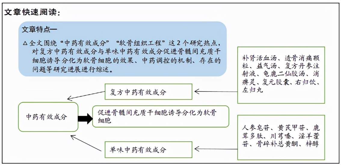 中药有效成分促进骨髓间充质干细胞分化为软骨细胞的作用与机制