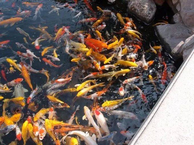 上海玩耍攻略,上海旅游景点交通攻略图