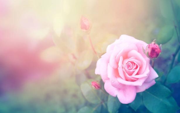 如果有一天男人开始嫌弃你,如果有一天有人冷落了你说明什么