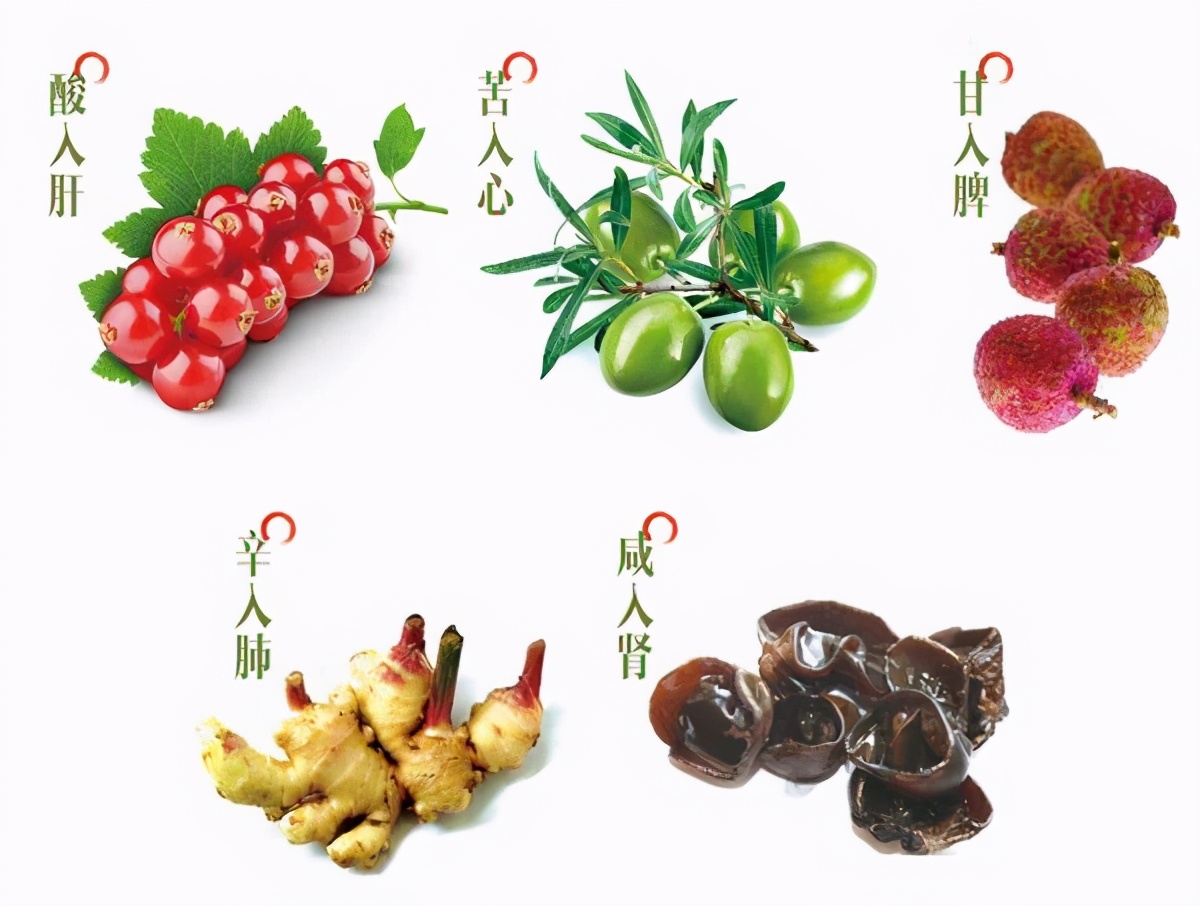 子午流注和经络的关系,子午流注讲解