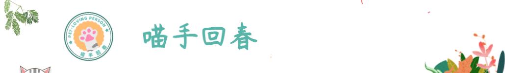 猫牙疼一定是口炎吗,牙疼不是病疼起来真的要人的命