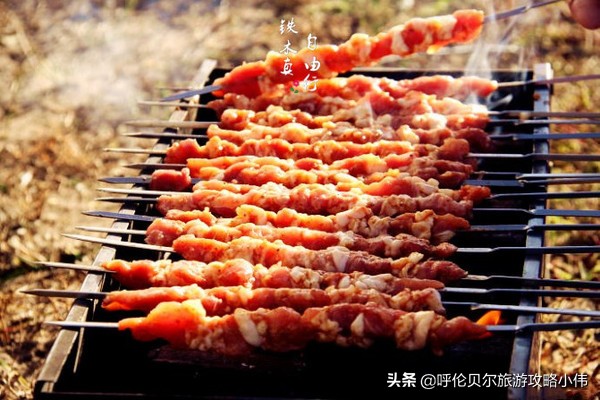 我和呼伦贝尔之间只隔一张火车票只需勇敢前行，梦想自会引路