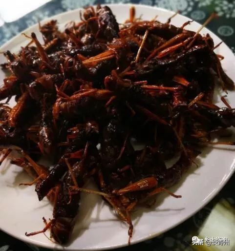 临朐舌尖上的美食,舌尖上的美食临朐
