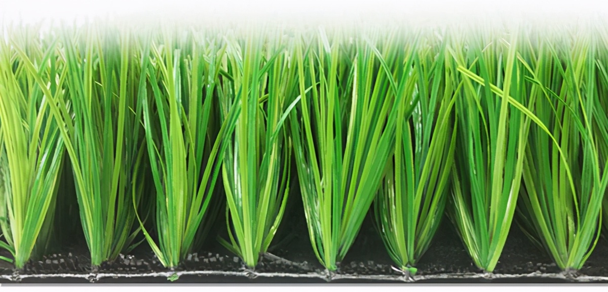 秘鲁甲级联赛含金量如何,秘鲁甲级足球联赛