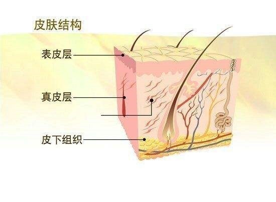 健身后皮肤有裂纹怎么回事,健身出现紫色条纹对身体有伤害吗