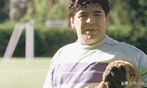 马拉多纳也是资深铲屎官，他都养过什么狗？