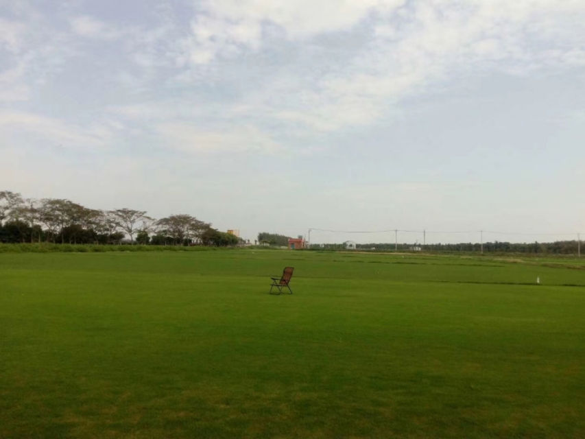 上海的农村民风淳朴，商品放在路边，没有老板，自己扫码拿了就走