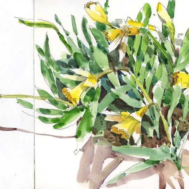 酣畅淋漓的水彩,酣畅淋漓水彩