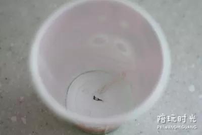 用过的纸杯可以怎么利用,纸杯能做出来什么样的东西呢