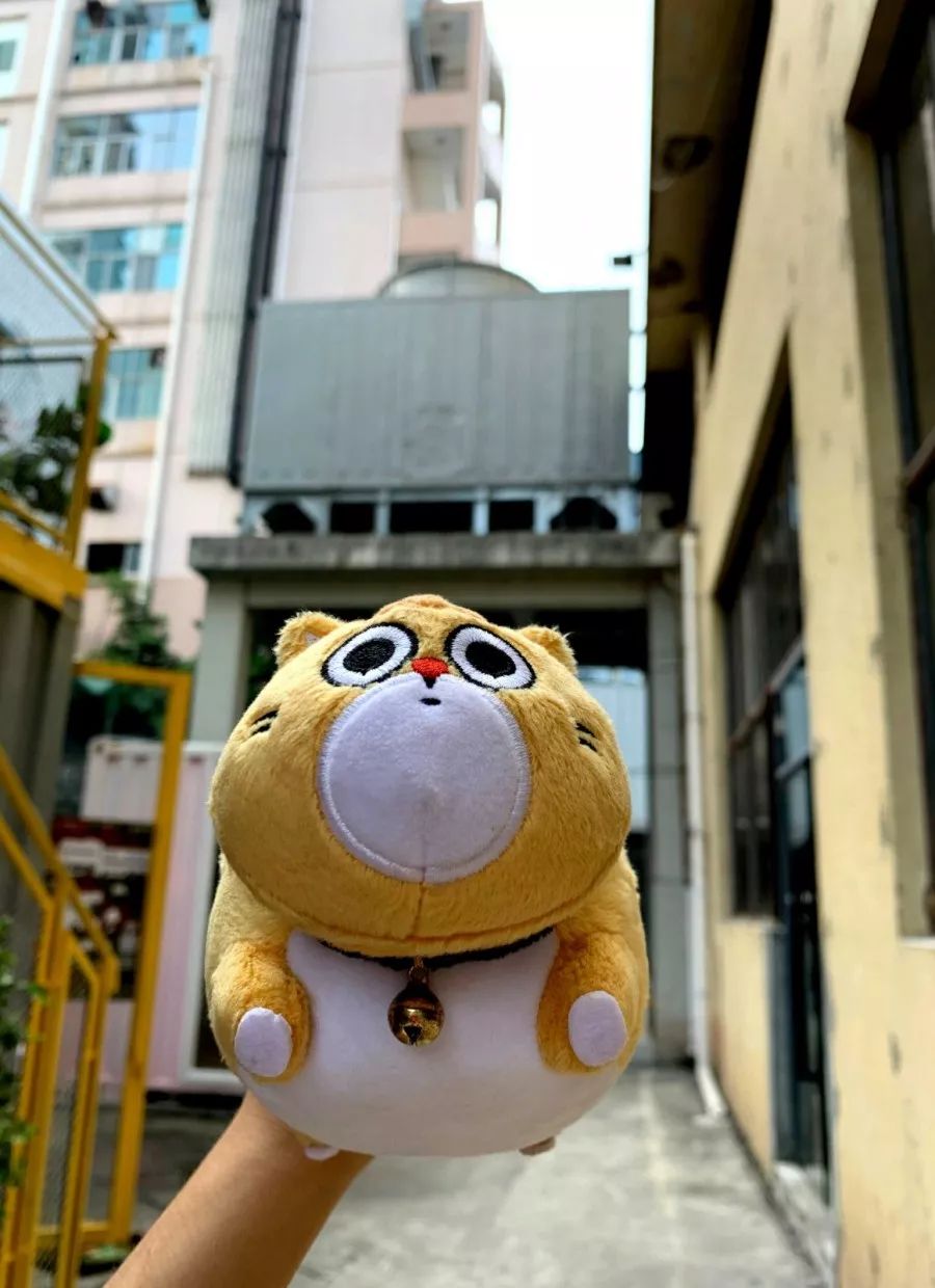 去深圳蛇口,去蛇口游玩到哪里