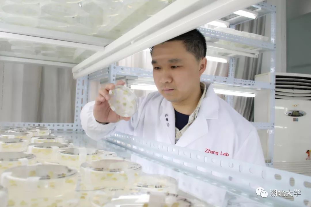 2023年考研报考人数继续飙升,考研关注