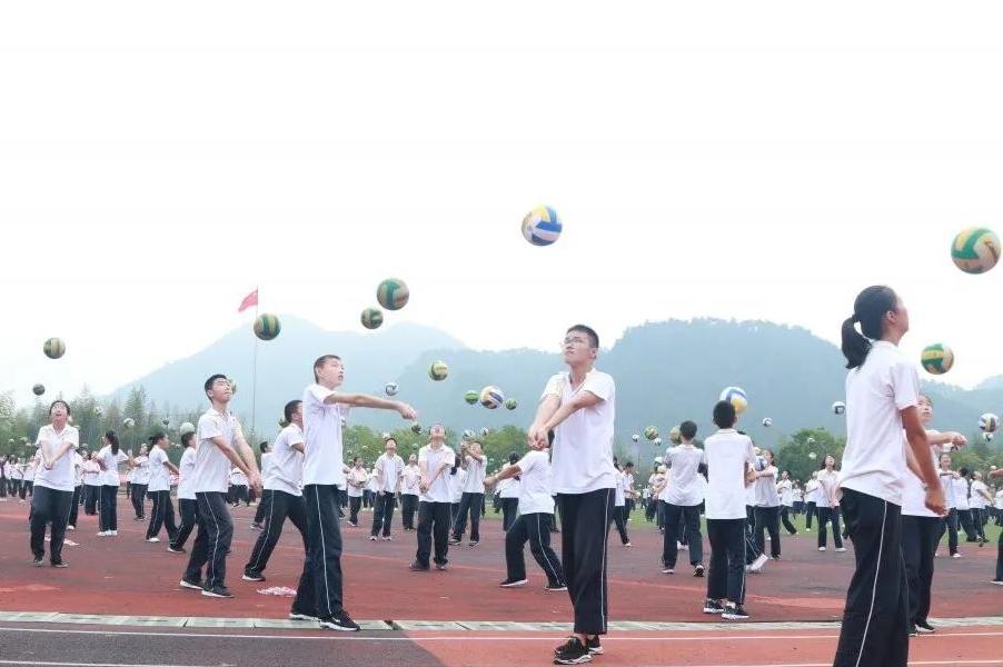 临安这两所学校被评为体育特色学校