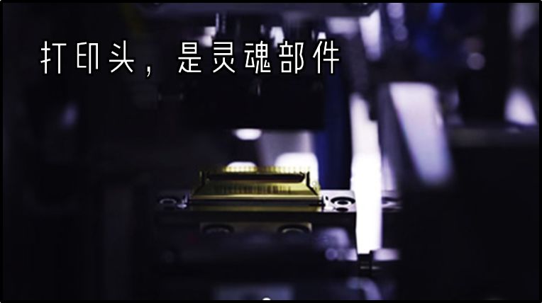 有一种固执叫做死心眼的句子,有一种死心叫失望