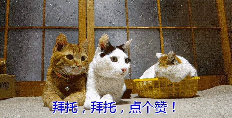 房屋瓷砖地板浸水怎么处理,地板浸水怎么补救