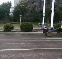 有这样的班主任你还敢逃学吗,有这样一个班主任