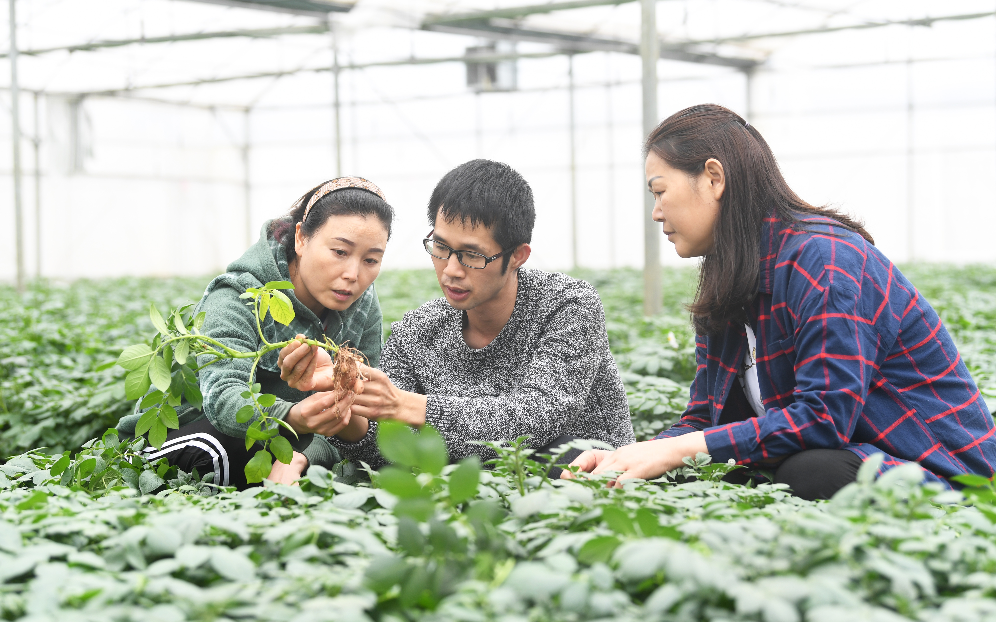 2018年农民的四大补贴,2022年农民补贴新政策出台