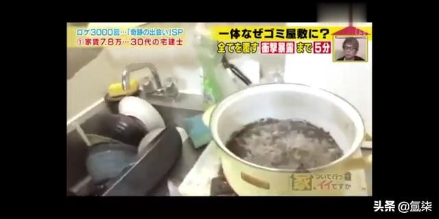 日本情侣相恋两年发现是双胞胎,相爱两年竟是双胞胎