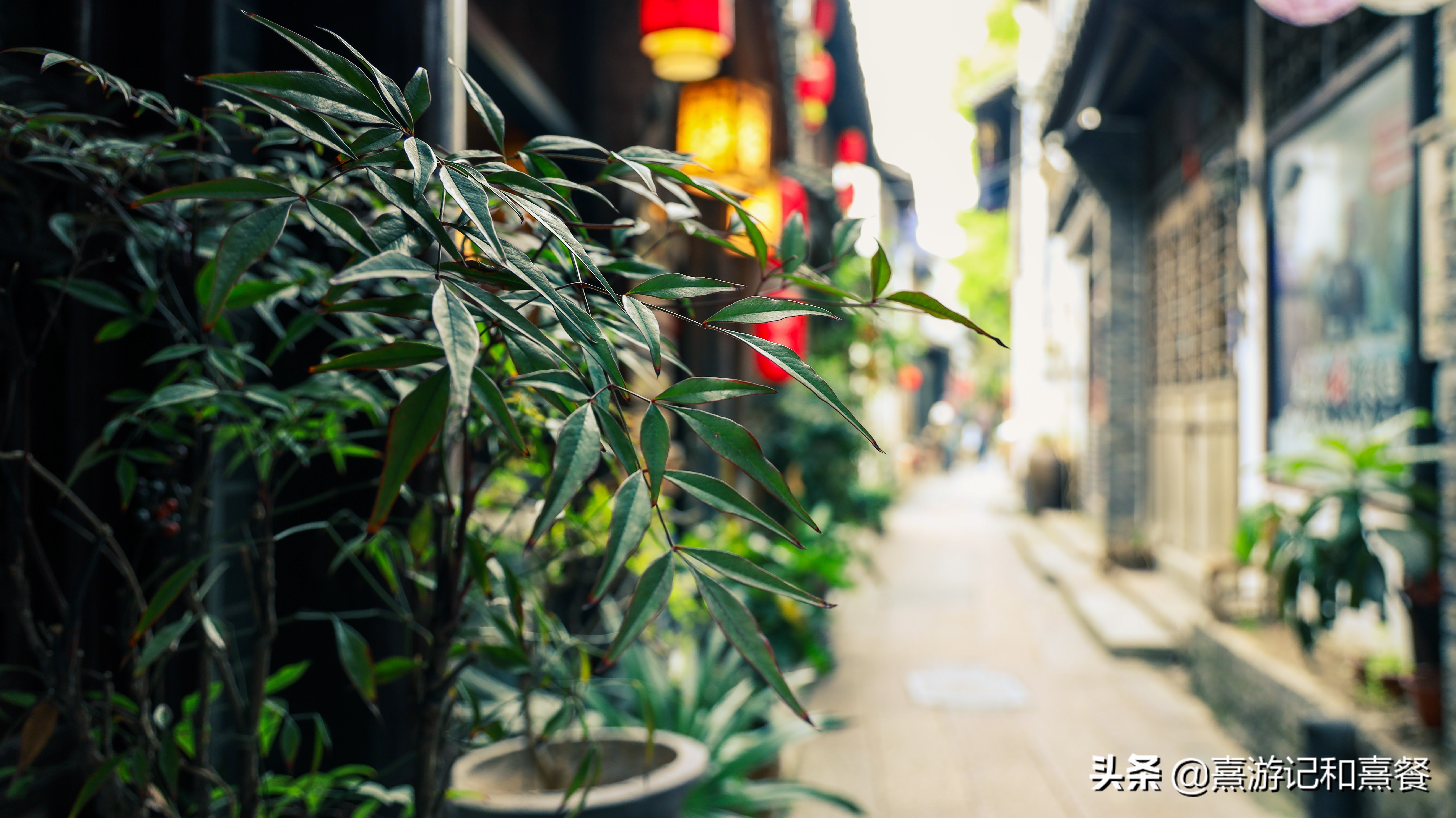 朱家角古镇游玩攻略,朱家角古镇逛吃