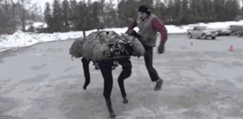 53万一只，波士顿动力机器狗也赶618开卖？淘宝百万代购已上线