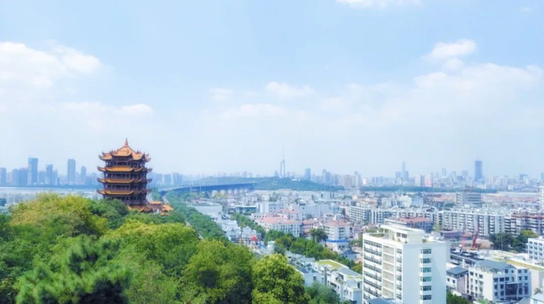 自然科学实验与创新课题,生态课题研究方案