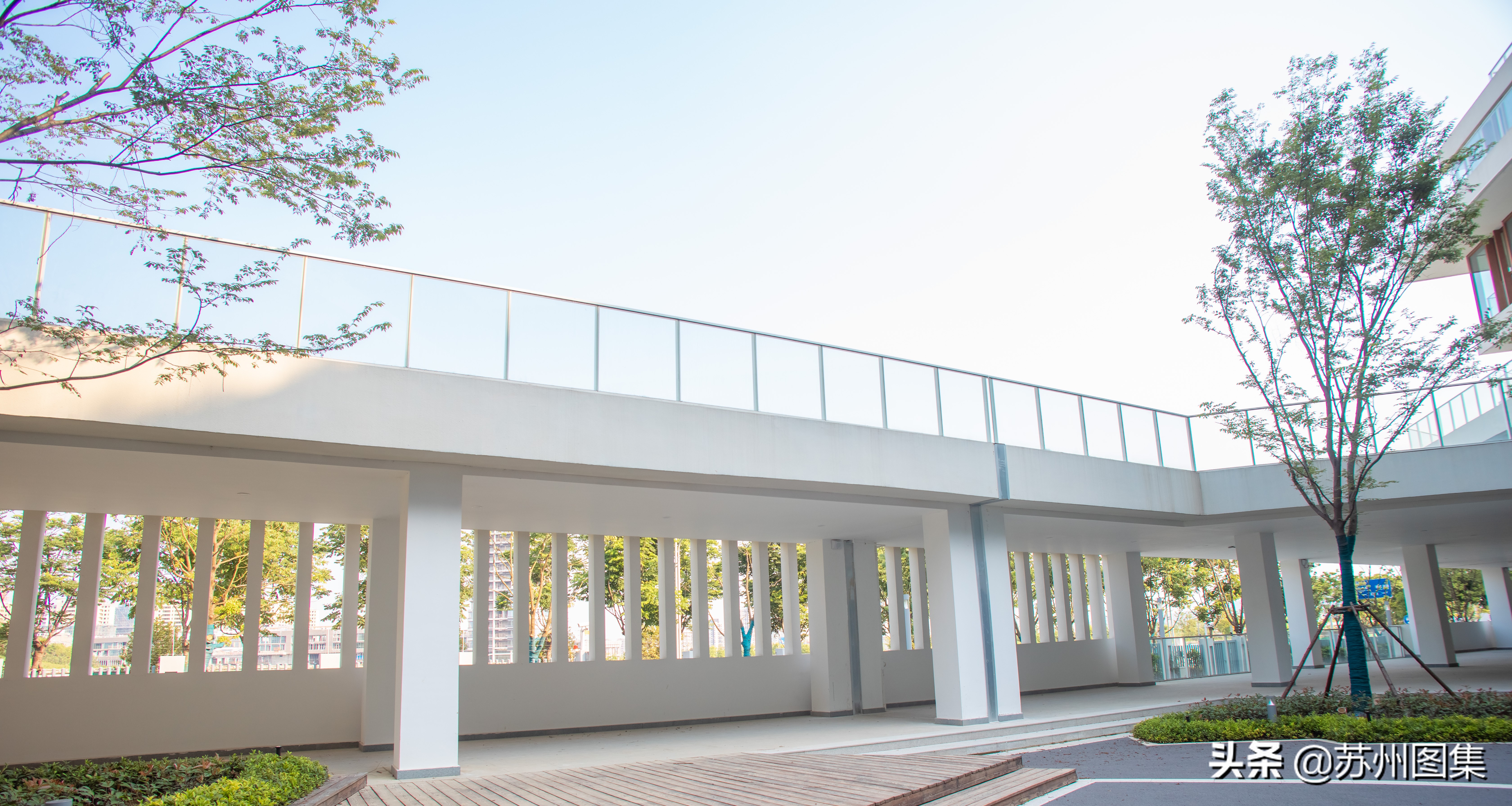 苏州雷丁国际学校好吗,苏州高新雷丁学校