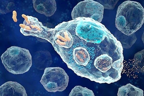 抗流感药奥司他韦何时用有效,奥司他韦为什么是流感特效药