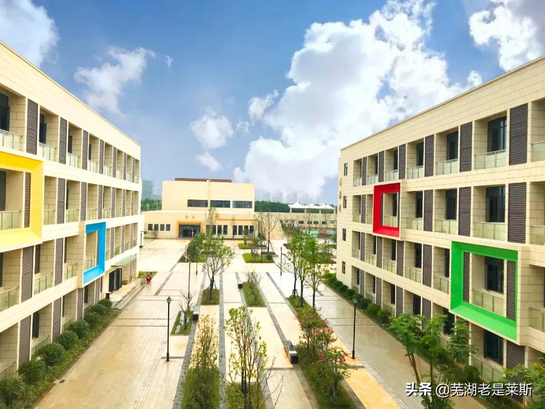 实地探访！芜湖新学校环境、师资大曝光