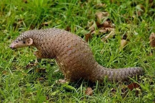 同一件衣服网上卖的价格不一样,网红店衣服真相