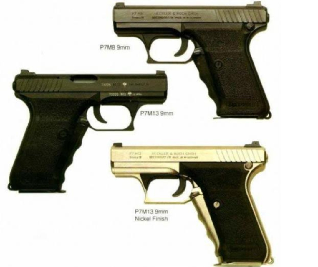 英国枪史图册全篇,德国枪图片