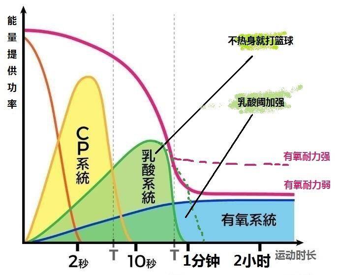 每天打球锻炼一小时一个月变化,每天坚持打球会瘦吗