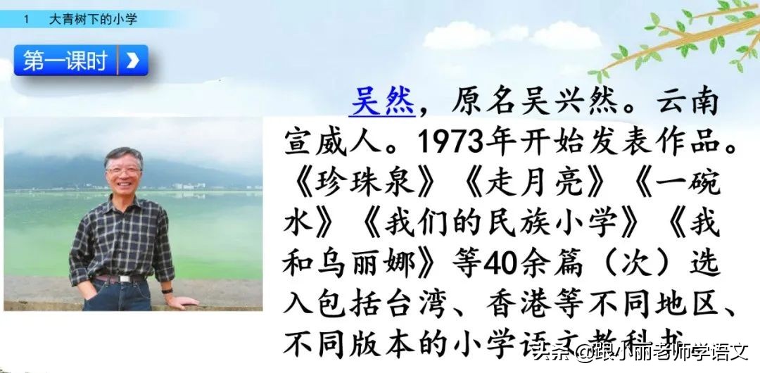 大青树下的小学重点知识点,大青树下的小学重点知识梳理