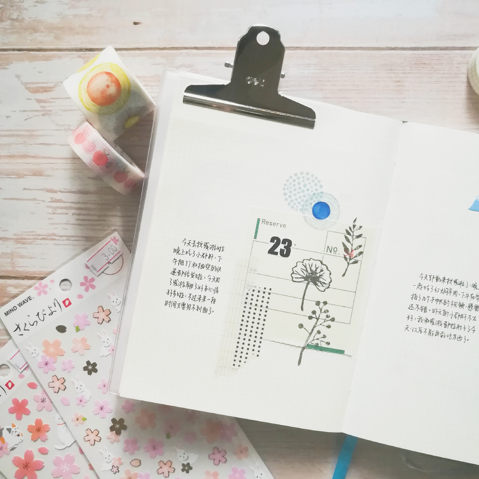 手帐排版设计简单好看,清新手帐排版植物篇