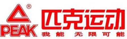 中国偶像海选,中国偶像选秀兴衰