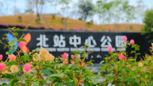 龙华新公园在哪里,深圳龙华区免费的公园