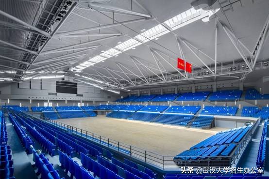 投资3亿的体育馆,投资300亿建大学