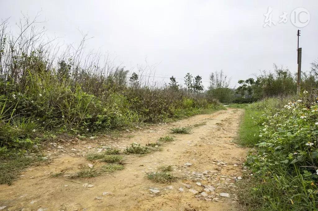 男子买冰糖被骗后报警,男子买毒被骗报警求助