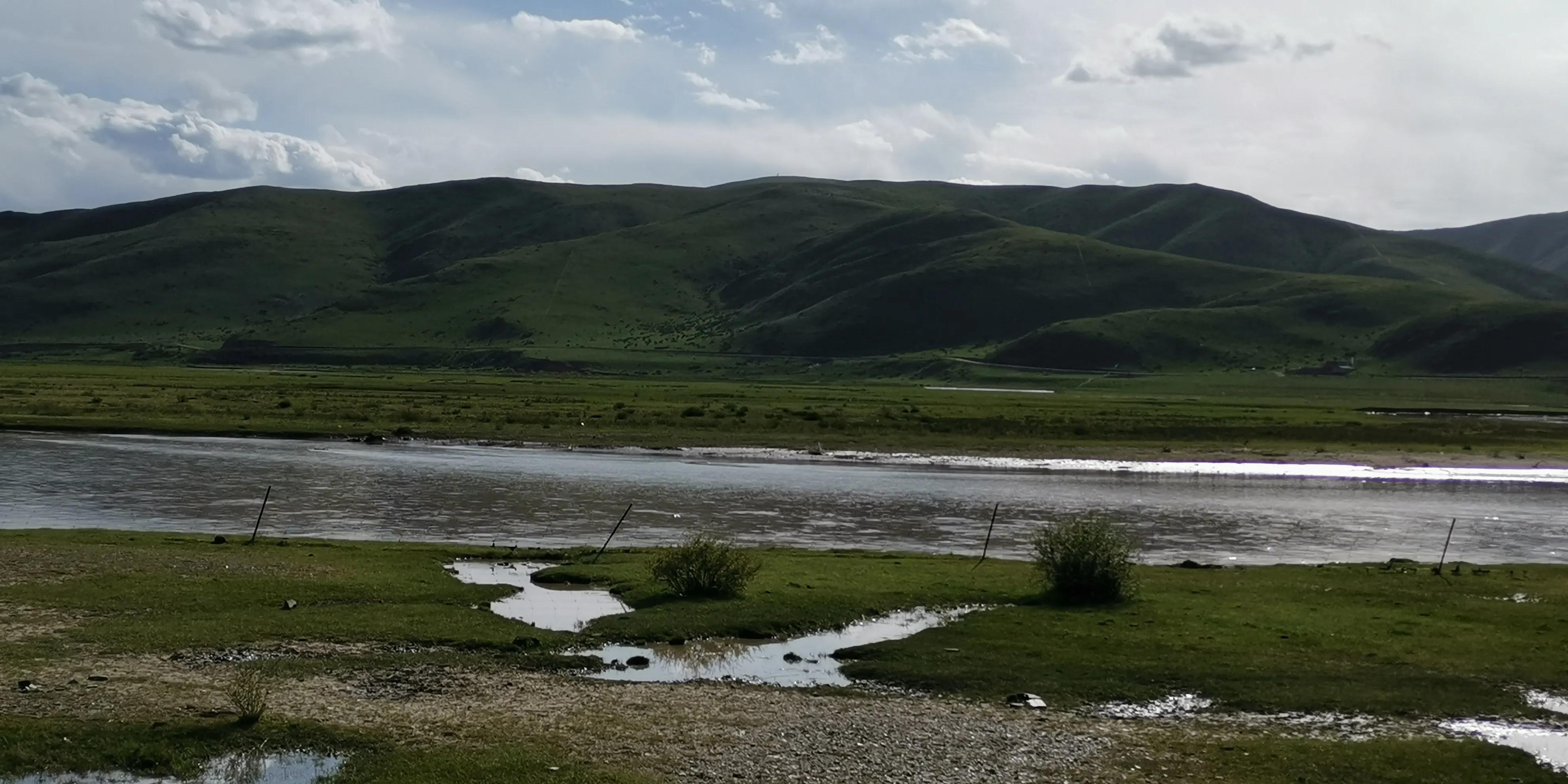 美不胜收的红原大草原,最美蓝天白云大草原