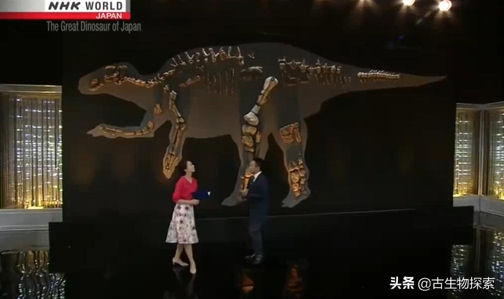 日本发现史前恐龙,日本第一次发现龙化石
