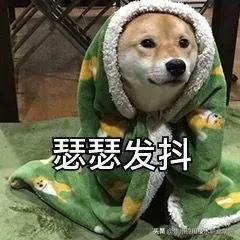冬训关注事项和禁忌,冬训应知应会