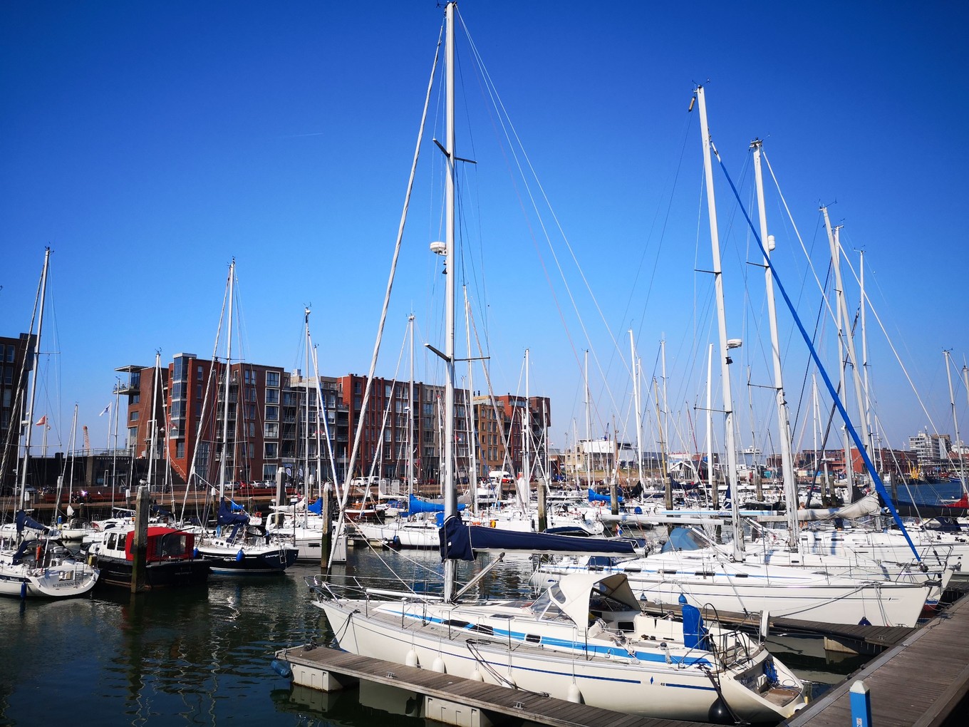 荷兰郁金香一日游攻略,荷兰郁金香旅游